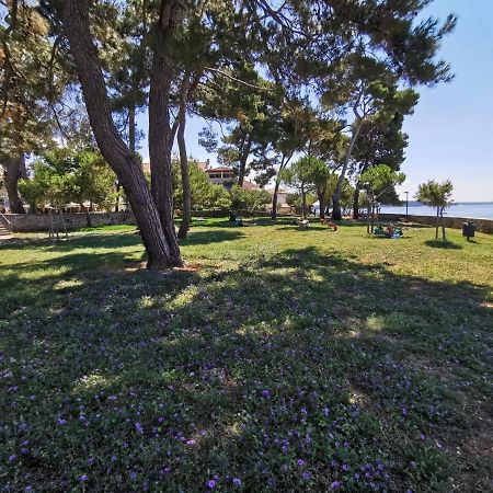 Nina Deluxe Superior 5 Star Apartment, Your Piece Of Heaven By The Sea & Park Novigrad Istria Exterior foto